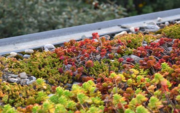the cost of Killimster green roof installation